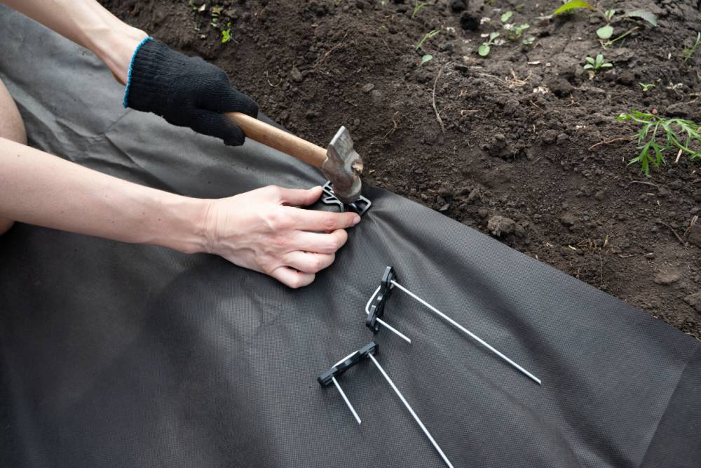 fixation toile géotextile jardin